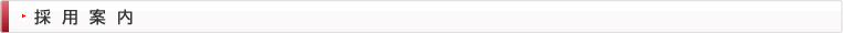 採用案内
